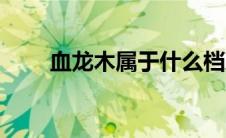 血龙木属于什么档次（血龙木手串）