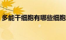 多能干细胞有哪些细胞（多能干细胞有哪些）