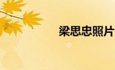 梁思忠照片（梁思忠）