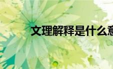 文理解释是什么意思（文理解释）
