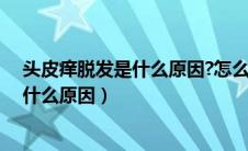 头皮痒脱发是什么原因?怎么解决吃什么药（头皮痒脱发是什么原因）