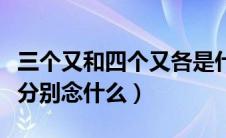 三个又和四个又各是什么字（三个又和四个又分别念什么）