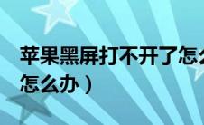苹果黑屏打不开了怎么办（苹果x黑屏打不开怎么办）