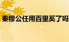 秦穆公任用百里奚了吗（秦穆公任用百里奚）