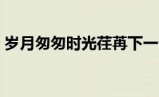 岁月匆匆时光荏苒下一句（时光荏苒下一句）