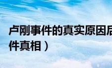 卢刚事件的真实原因后华人受影响没（卢刚事件真相）