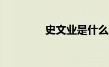 史文业是什么人（史文业）