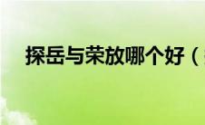 探岳与荣放哪个好（探岳和荣放哪个好）