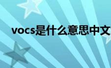 vocs是什么意思中文（vocs是什么意思）