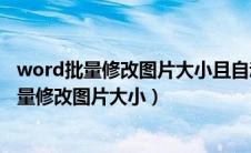word批量修改图片大小且自动排版怎么设置（word怎么批量修改图片大小）