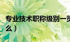 专业技术职称级别一览表（专业技术职称是什么）