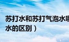 苏打水和苏打气泡水哪个更好（气泡水和苏打水的区别）
