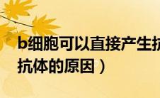 b细胞可以直接产生抗体吗（b细胞不能产生抗体的原因）
