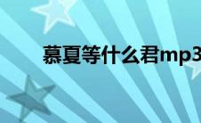 慕夏等什么君mp3（慕夏等什么君）