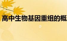 高中生物基因重组的概念（基因重组的概念）
