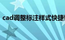 cad调整标注样式快捷键（标注样式快捷键）