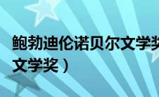 鲍勃迪伦诺贝尔文学奖作品（鲍勃迪伦诺贝尔文学奖）