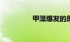 甲藻爆发的原因（甲藻）