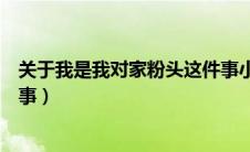 关于我是我对家粉头这件事小说（关于我是我对家粉头这件事）