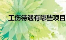 工伤待遇有哪些项目（工伤待遇有哪些）