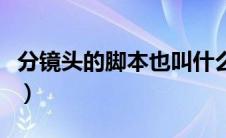 分镜头的脚本也叫什么（分镜头脚本也叫什么）