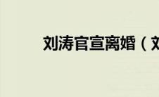 刘涛官宣离婚（刘涛宣布离婚了）