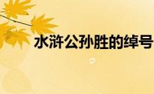水浒公孙胜的绰号（公孙胜的绰号）
