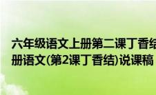 六年级语文上册第二课丁香结教案（新部编人教版六年级上册语文(第2课丁香结)说课稿）