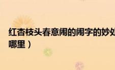 红杏枝头春意闹的闹字的妙处（红杏枝头春意闹中的闹好在哪里）
