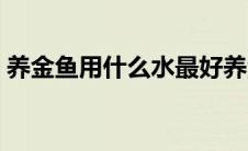 养金鱼用什么水最好养活（养金鱼用什么水）