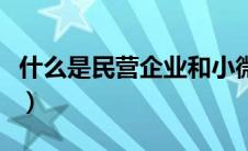 什么是民营企业和小微企业（什么是民营企业）