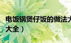 电饭锅煲仔饭的做法大全（电饭煲仔饭的做法大全）