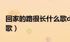 回家的路很长什么歌dj（回家的路很长是什么歌）