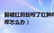 脚被红蚂蚁咬了红肿痒怎么办（蚂蚁咬了红肿痒怎么办）