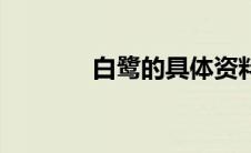 白鹭的具体资料（白鹭资料）