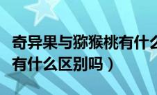 奇异果与猕猴桃有什么区别（奇异果和猕猴桃有什么区别吗）