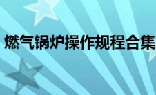 燃气锅炉操作规程合集（燃气锅炉操作规程）