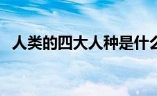 人类的四大人种是什么（人类的四大人种）