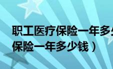 职工医疗保险一年多少钱2024年（职工医疗保险一年多少钱）