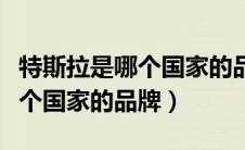特斯拉是哪个国家的品牌电动车（特斯拉是哪个国家的品牌）