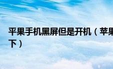 平果手机黑屏但是开机（苹果手机突然黑屏但是在开机状态下）