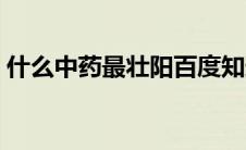 什么中药最壮阳百度知道（什么中药最壮阳）