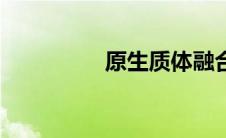 原生质体融合（原生质）