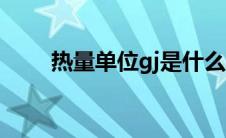 热量单位gj是什么意思（热量单位）