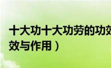 十大功十大功劳的功效与作用（十大功劳的功效与作用）