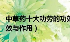 中草药十大功劳的功效与作用（十大功劳的功效与作用）