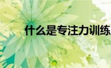 什么是专注力训练（什么是专注力）