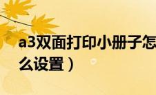 a3双面打印小册子怎么设置（打印小册子怎么设置）