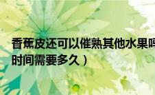 香蕉皮还可以催熟其他水果吗（香蕉皮在自然界的完全降解时间需要多久）