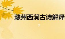 滁州西涧古诗解释（滁州西涧古诗）
